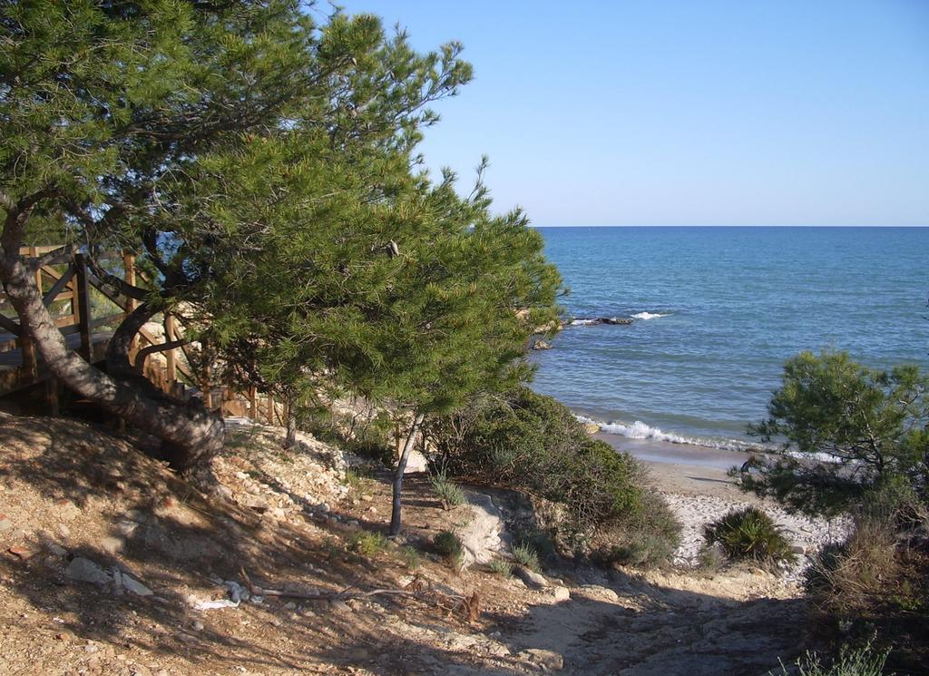Apartamentos Marineu San Damian Playa Cargador Alcossebre Buitenkant foto
